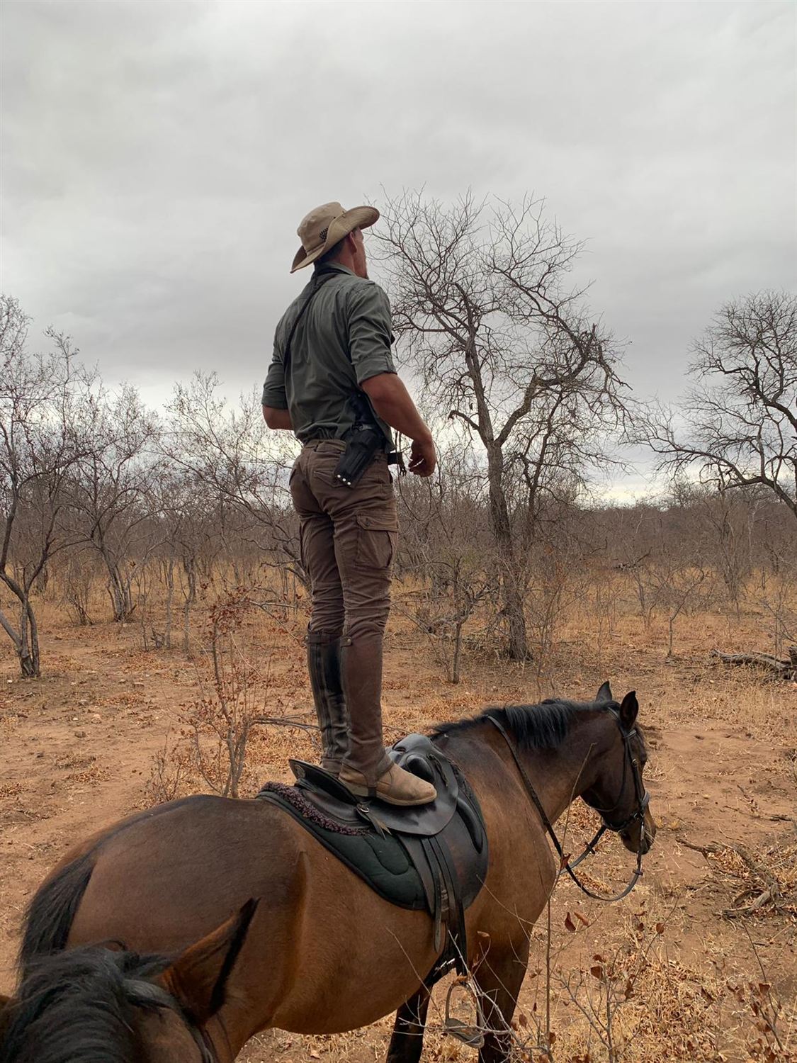 Ray standing upright on his horse's back, scanning the bushveld for game